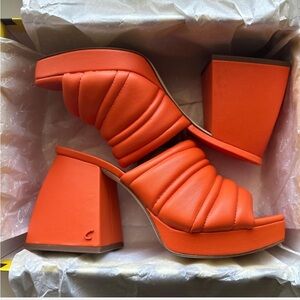 Circus NY Bright Yellow Box